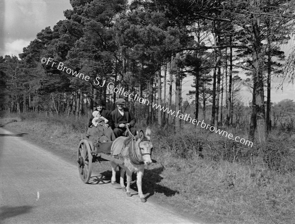 GRANDPARENTS WITH CHILD IN HORSE AND CART